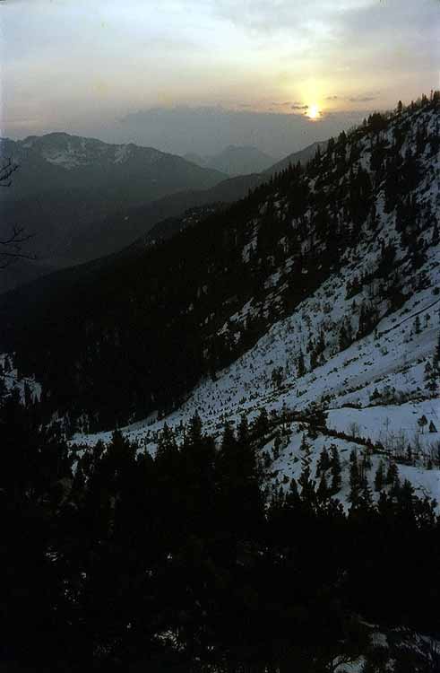 Schinder am 17.04.1971