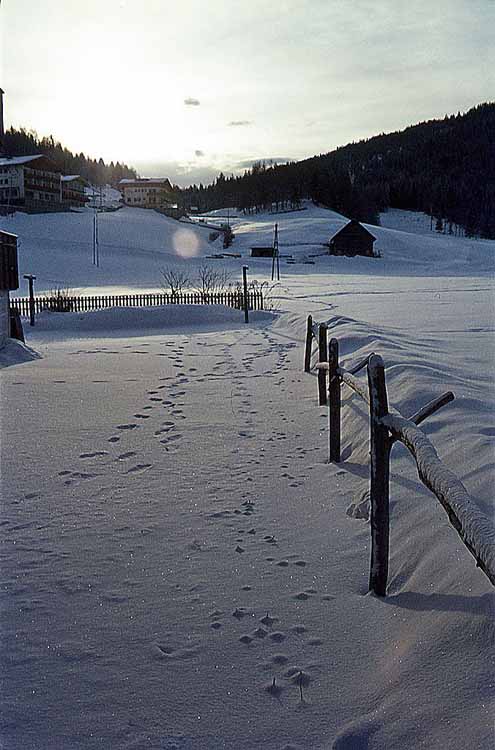 Rotwandwiesen am 11.02.1973