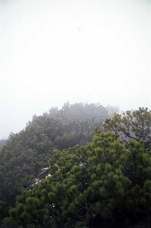 Hohe Ziegspitze am 02.06.1973