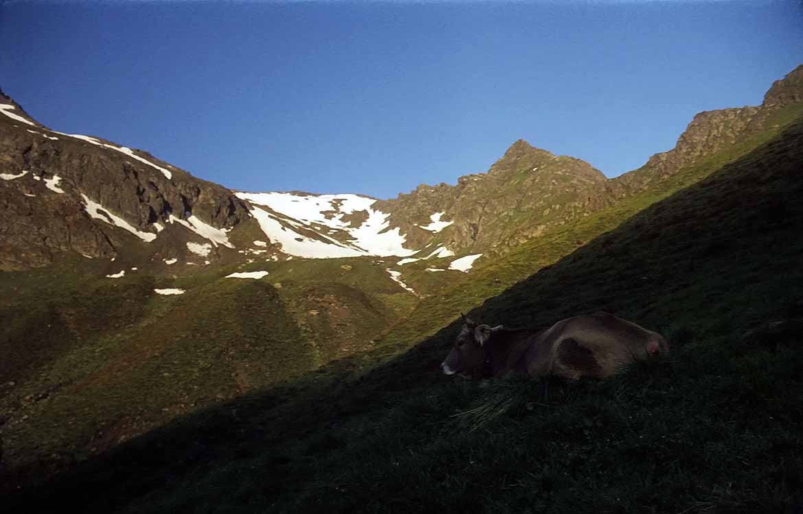 Zischgeles am 13.07.1975