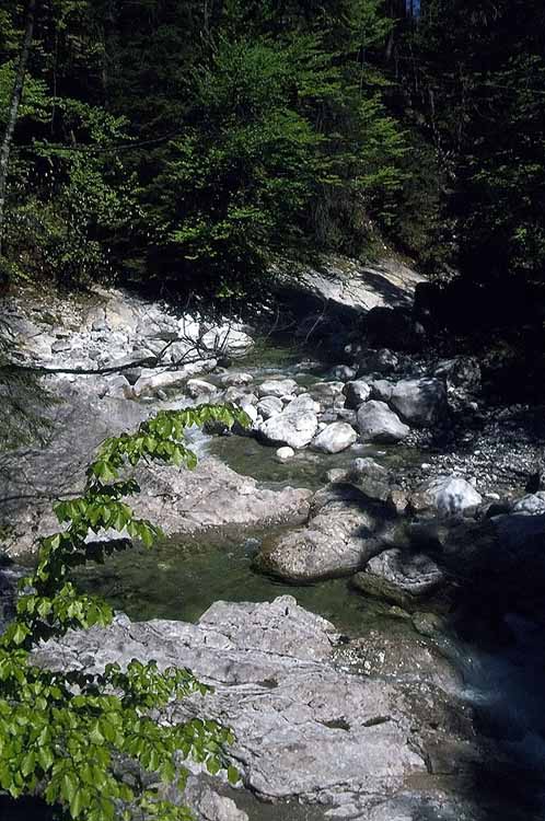 Staffelalm am 26.05.1979