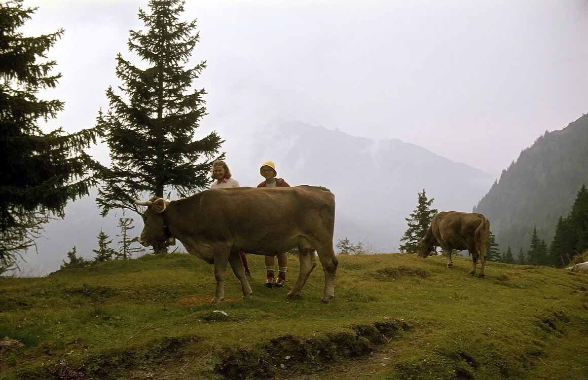 Steinalm am 03.09.1979