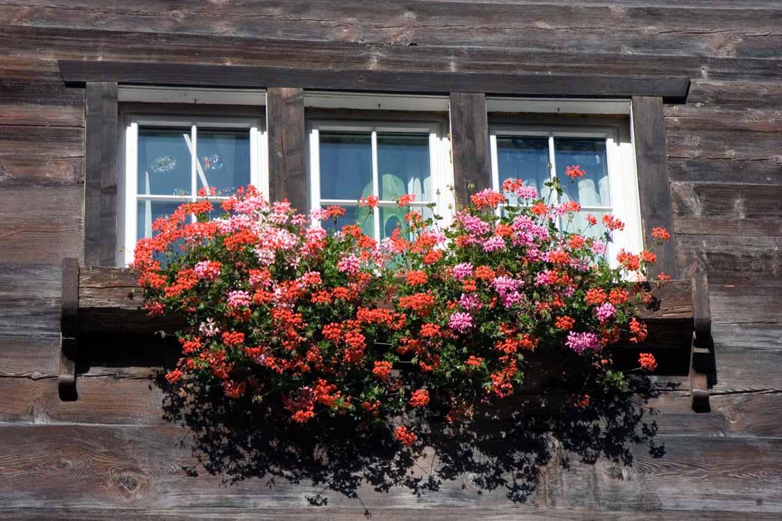 Trockener Steg am 09.09.2006