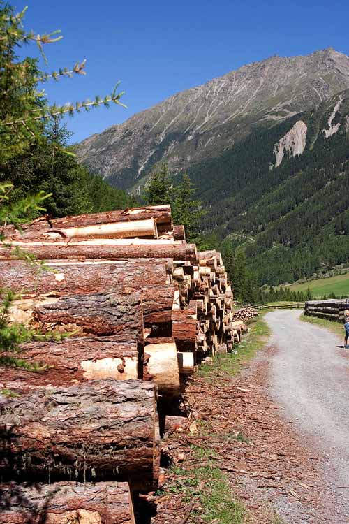 Sulztalalm am 08.07.2010