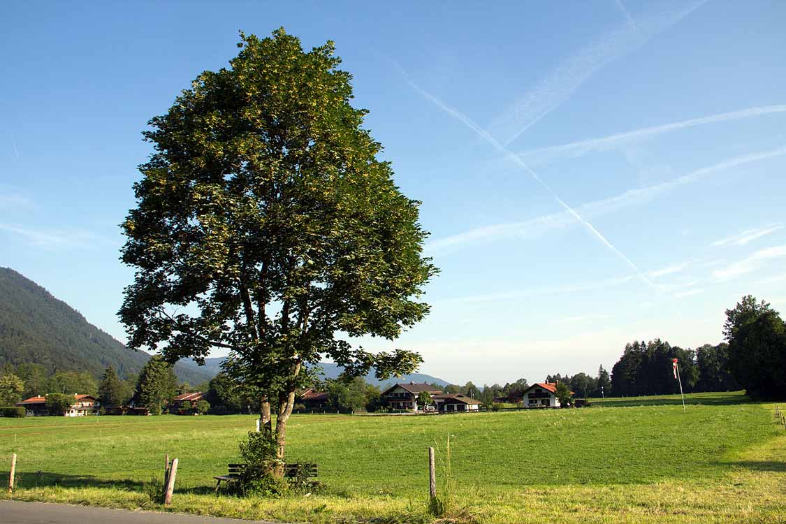 Hirschbergrunde am 07.07.2011